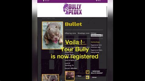 bully pedex search